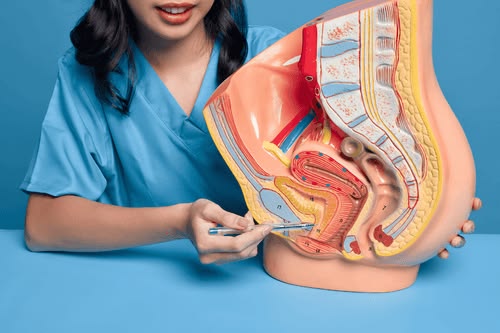 Bladder Cancer Symptoms: Early Warning Signs, Risk Factors